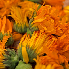 Calendula and Cacao Butter Soap
